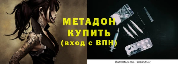 стаф Алзамай
