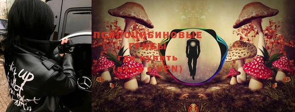 a pvp Абдулино
